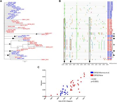 Local Epidemics Gone Viral: Evolution and Diffusion of the Italian HIV-1 Recombinant Form CRF60_BC